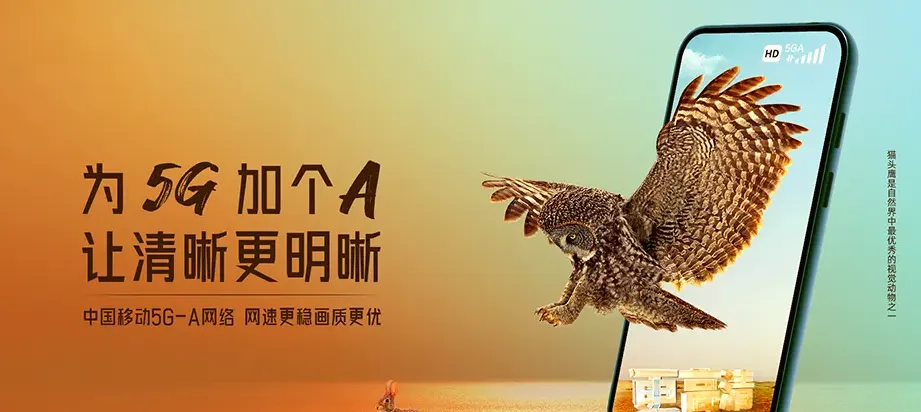 蒙城县蒙城县板桥集镇 移动宽带