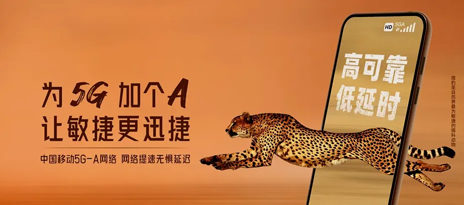 蒙城县蒙城县王集乡 移动宽带